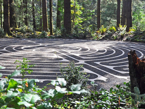 Bandon Dunes Golf Resort, Bandon OR - Full-sized 42.3' diameter Chartres Replica Labyrinth -Travertine Lines with Basaltic Sand field in Douglas Fir grove - foreground plantings