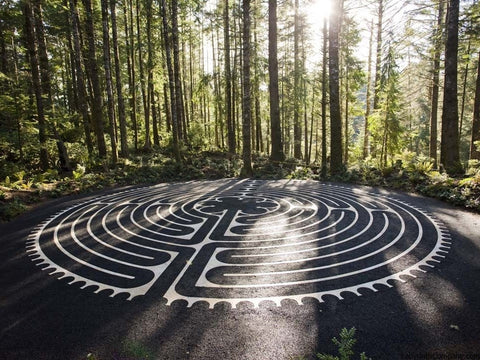 Bandon Dunes Golf Resort, Bandon OR - Full-sized 42.3' diameter Chartres Replica Labyrinth -Travertine Lines with Basaltic Sand field in Douglas Fir grove